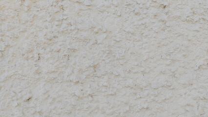 A beautiful decoration for walls. textured, with gray speckled,.for indoor and outdoor