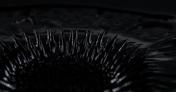 Magnetic fluid. Ferrofluid. Black liquid surface. Abstract background. Natural phenomenon of magnetism ferro fluidic substances under the action of a neodymium magnet can create really impressive 