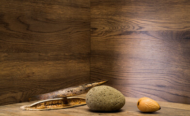 dry plants and stone on brown wooden background