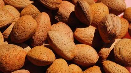  apricot kernel , rotation in circle. dried apricot kernels with Turning nut. selective focus. bright sun rays