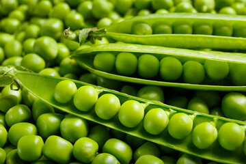 Open pods of fresh green peas lie on pea grains, top view. Background of sweet green peas.