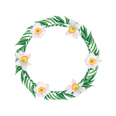 Watercolor wreath of leaves and white daffodils on a transparent background. Hand drawn illustration. Round frame for poster templates, invitations, business cards, postcards and backgrounds.