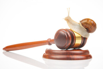 Snail and gavel of justice on a white background. The concept of slow adoption of laws and judicial decision. law and law in society