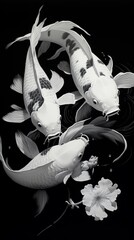 Two Koi Fish in Japanese Style Black and White Art