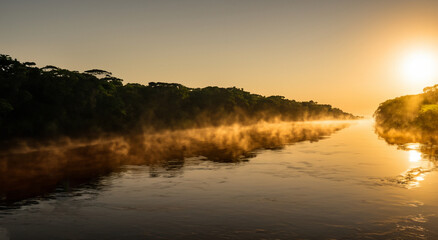 majestic amazon forest with mist in high resolution and sharpness. Amazon of Brazil, Colombia,...