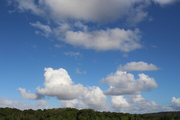 landscape of a blue sky with vegetation on the horizon