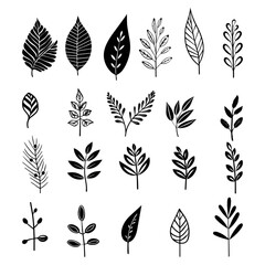 Exquisite hand drawn vector leaves collection