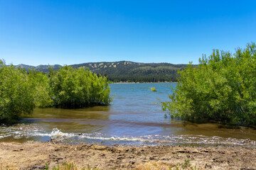 Big Bear Lake with green bush in the water and mountains in the background