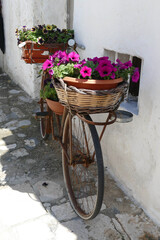 Fototapeta na wymiar Flowers and bicycle along a white washed trulli wall