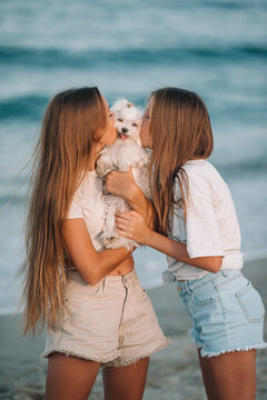 Adorable young girls and their white puppy on the beach at sunset. Beautiful teenage girls on the seashore walking and enjoy summer vacation
