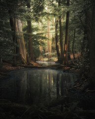 fairy-tale and illuminated forest surrounded by water (selective focus)
