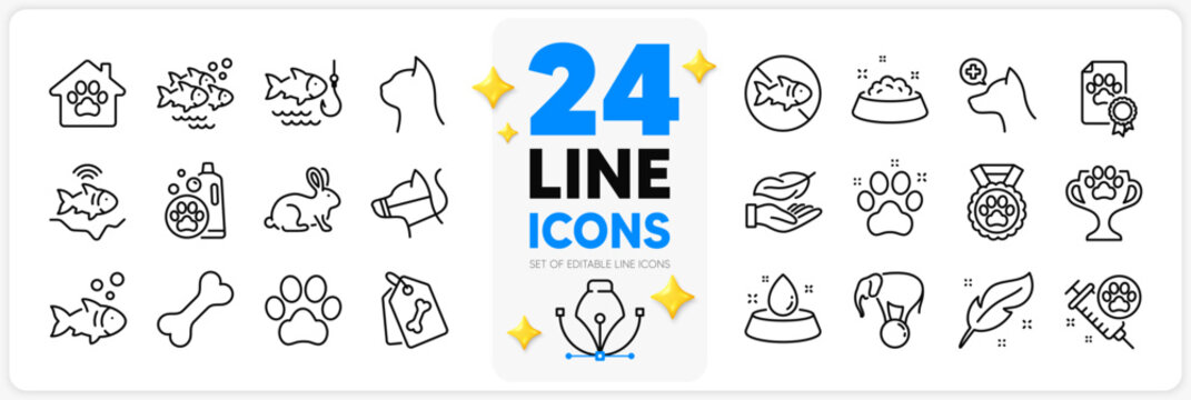 Icons set of Feather, Elephant on ball and Fish line icons pack for app with Dog paw, Pets care, Water bowl thin outline icon. Dog certificate, Pet friendly, Stop fishing pictogram. Vector