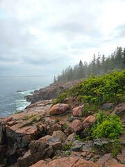 view of the sea from a cliff, misty forest at the ocean