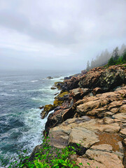 rocks on the coast, misty forest line at the ocean