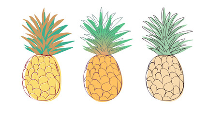 Juicy abstract pineapples drawn by line. Exotic tropical fruit, sketch. Vector drawing.