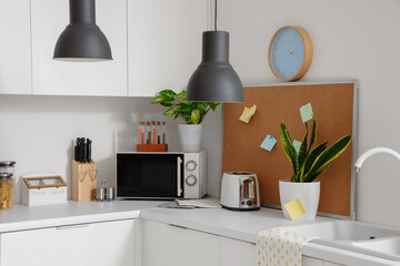 Interior of modern kitchen with white counters, microwave oven, toaster and houseplants