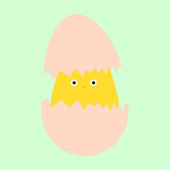 Cute little chick in cracked egg. Vector illustration. EPS 10.