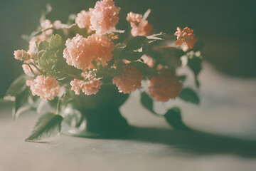 a warm pink flower.
Generative AI