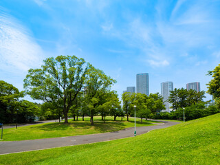 緑あふれる辰巳の森緑道公園　青空が気持ち良い