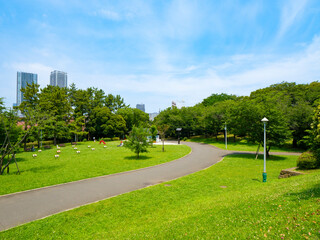 Fototapeta na wymiar 緑あふれる辰巳の森緑道公園　青空が気持ち良い