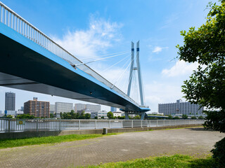 青空の東雲水辺公園　運河沿いの気持ちの良い公園