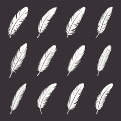 Vector Fluffy Feather Logo, Icon Set, Silhouette Feather Closeup Isolated. Design Template of Flamingo, Angel, Bird Feather. Lightness, Freedom Concept