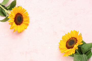 Beautiful sunflowers on pink background