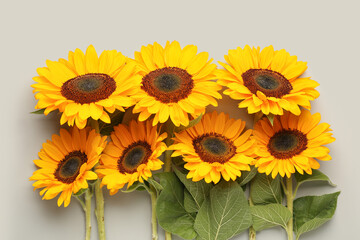 Beautiful sunflowers on grey background