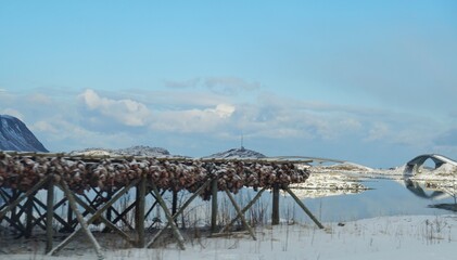 Fototapeta na wymiar Fish drying rack in winter season at Lofoten, Norway, Europe. 