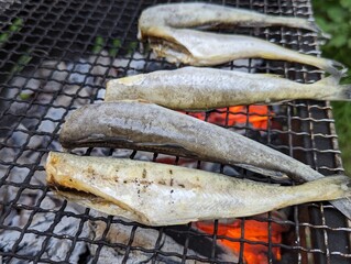 炭火焼き 焼き魚 氷下魚 コマイ バーべキュー