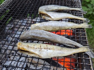 炭火焼き 焼き魚 氷下魚 コマイ バーべキュー