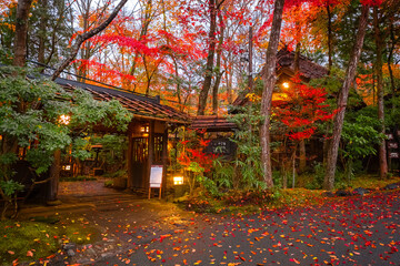 Kumamoto, Japan - Nov 23 2022: Kurokawa Onsen is one of Japan's most attractive hot spring towns....