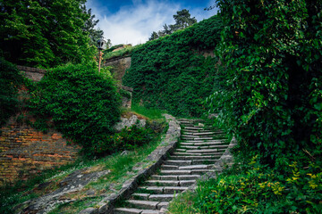 A stone staircase overgrown with grass in a medieval castle with stone, brick walls covered with green plants. Fabulous background of the old castle