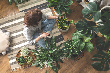 A young woman enjoys caring for flowers. Watering indoor plants and admiring them. - obrazy, fototapety, plakaty