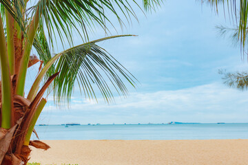 Tropical island scenery with coconut trees and sandy beaches on a clear day