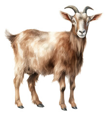 Watercolor brown goat illustration isolated.