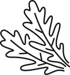 Fresh rucola or arugula leaf isolated outline icon. Vector rocket plant, salad ingredient, organic vegetarian seasoning, thin line