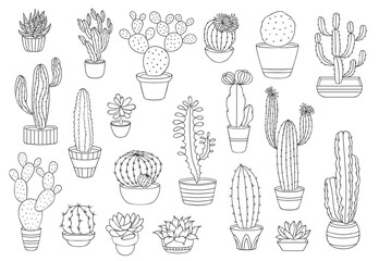 Outline cactus succulents, vector desert plants. Thin line cacti in flower pots, mexican agave, opuntia or prickly pear, saguaro, echeveria and haworthia cactus, succulents with spiky leaves, flowers © Vector Tradition