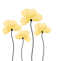 Flower drawings, used as illustrations