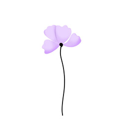 Flower drawings, used as illustrations