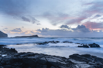 tide pool