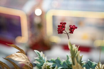 Red fruit ornament, christmas or holiday concept. Light bokeh background.