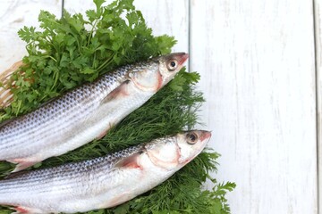 Mullet on greens, Loban, dill, on the table, Pelengas, Buri, Mugil cephalus, sea fish of the mullet family, fresh fish, healthy food, background image, background, top view