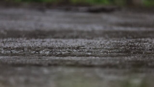 道路に降る雨　大雨　豪雨　イメージ
