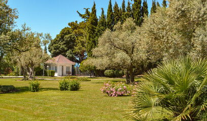 Picturesque view of the Mediterranean landscape with a beautiful lawn, a small farmhouse and olive...