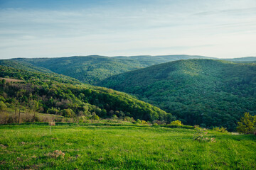 Fototapeta na wymiar Beautiful hills with trees, green grass and cloudy sky in spring evening. Panoramic background of gentle spring nature in green tones