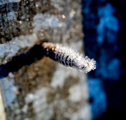 ice crystals on a rusty self-tapping screw illuminated by the morning sun