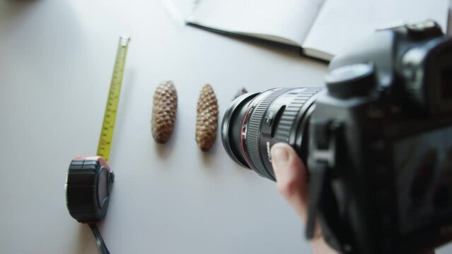 Top-Down View of DSLR Capturing Different Sizes of Acorns in Lab