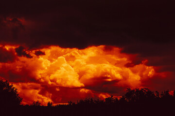 Sunset landscape with a rain cloud hanging over the trees. Shooting against a light source, it...