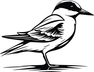 Common Tern Logo Monochrome Design Style